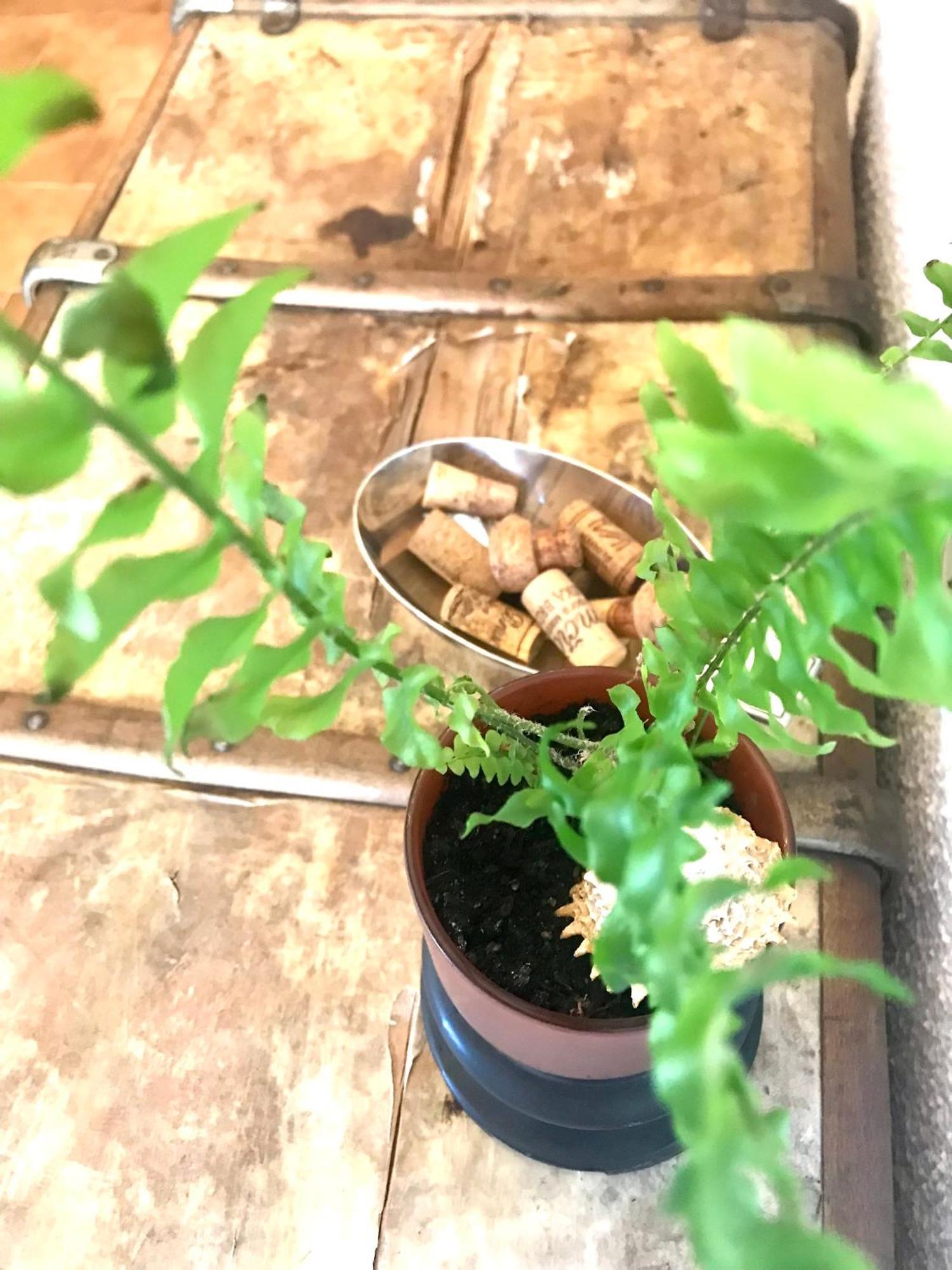 Enam Room Kojsko エクステリア 写真